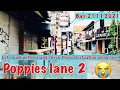 Download Lagu Poppies Lane 2 || Let’s walk with me and check the situation along this area