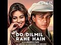 Do Dil Mil Rahe Hain (Lofi Mix)