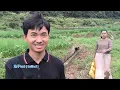 Download Lagu Rp 2.300.000 Hasil Panen Timun Hari ini Alhamdulillah