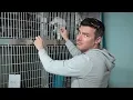 Adopting A Cat From A Shelter - Animal Rescue in Tulsa Oklahoma