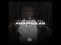 Download Lagu Master Jay - AMAPHOLAS MIX