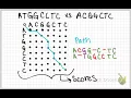 global sequence alignment