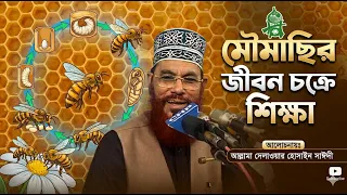 মৌমাছির জীবন চক্রের শিক্ষা । আল্লামা সাঈদী । Moumachir Jibon Chokro । Allama Sayedee । CHP