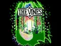 Download Lagu The Vines - 1969 (HD)