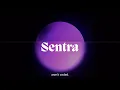 Sentra Dodo Payments