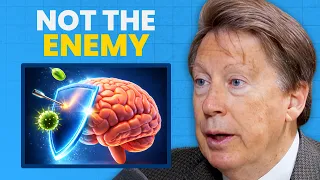 We ve Been Wrong About Alzheimer s Amyloid Isn t the Cause
