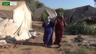 السيدة ختمه ذات ال60 عاما لم تنس إنسانيتها 