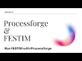 Running FESTIM Simulations with Processforge