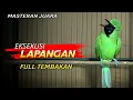 Download Lagu 🔴MASTERAN JUARA‼️CUCAK IJO GACOR NGENTROK FULL TEMBAKAN
