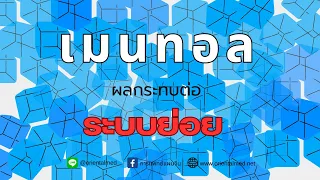  ลูกอมเมนทอลมีผลต่อระบบย่อยอาหารอย่างไรบ้าง 
