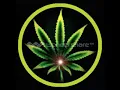 Green means go