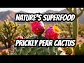 Amazing Prickly Pear Cactus Facts You Never Knew
