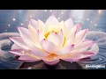 IN QUIET WONDER AWAKENS DREAMWORLD OPENS EXPRESSION FLOURISHES BEAUTY BLOOMS LIKE A LOTUS