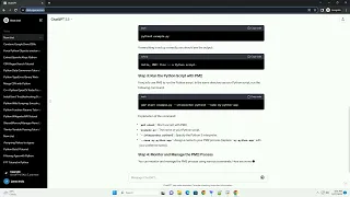 How to run a python3 script with pm2
