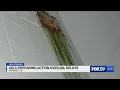 ACLU threatens legal action related to Monroe Co Jail