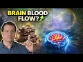 Psilocybin Chocolate Bars Mushroom Chocolate Science vs Lemon Tek