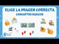 Actividades de CONCEPTOS BASICOS para Ninos Elige la imagen correcta