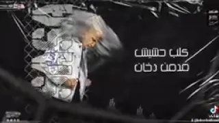مهرجان وسط دموع وجراح  ع الوتس الف رساله مبعوته   عصام صاصا دندنها