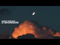 pandi & kasim rizvi - 21shanghai