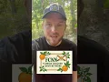 Download Lagu Florida’s disappearing fast…here’s why! 🏝️🚨”#Florida #MattTheWelder #SaveFlorida #urbansprawl