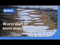 NSW Snowy Mountains records one of the worst starts to snow season ABC NEWS