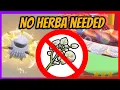 Best Shiny Hunting Sandwiches WITHOUT Herba Mystica