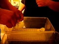 Ball Python egg cutting Pied x Het Pied 2015