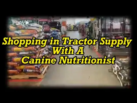 Download MP3 Tractor Supply Trip With A Canine Nutritionist: What’s Healthy, What’s Not