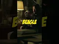 Download Lagu The puppy that changed John Wick's life forever