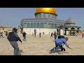 Download Lagu Al AQSA Mosque 26th Ramadan  2025 Current Situation ||مباشر من المسجد الاقصی المبارک
