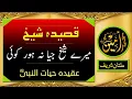 Download Lagu Mere Sheikh Jiya Na Hoar Koi  | Madina Tul Awliya Multan Shareef |