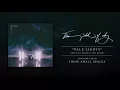 This Patch of Sky "Pale Lights" (This Will Destroy You Remix)