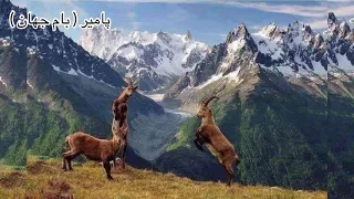 Mir Maftoon شب نوروز آمد میری مفتون 