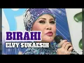 Lagu Birahi - ELVY SUKAESIH ( lagu dangdut jadul )