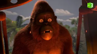 غوريلا تعثر على رضيع في غابات أفريقيا الاستوائية فماذا سيحدث 