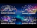 Download Lagu Surah Yaseen (Yasin) | Surah Rahman | Surah Waqiah | Surah Mulk | Relaxing Recitation