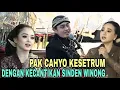 Download Lagu PAK CAHYO KESETRUM DENGAN KECANTIKAN SINDEN WINONG😂 || Limbukan lucu ki Cahyo Kuntadi terbaru 2025