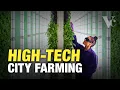 Download Why the Future of Farming is in Cities - The Big Money in Vertical Farming mp4 3gp mp3 videos - waplic