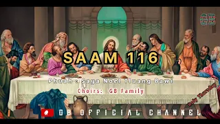 Download SAAM 116 - GB family MP3
