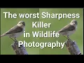 Your Photos Are Blurry Because of THIS And Nobody Talks About It