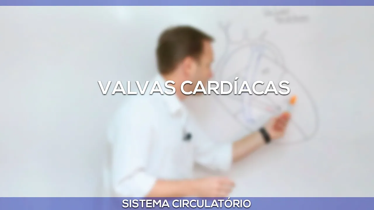 Valvas cardíacas
