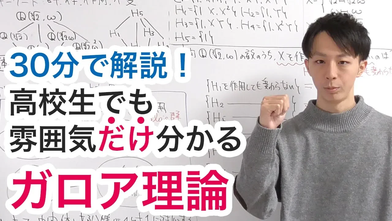 高校生でも雰囲気だけ分かるガロア理論