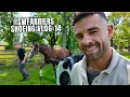 Download Lagu Swfarriers Good Bye Tom! Shoeing Vlog - 14