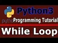 Python3 Programming Creating While Loop