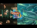 uShaka Marine World Sea World Showcase