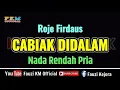 Download Lagu Cabiak Didalam - Roje Firdaus ( KARAOKE ) Nada Rendah Pria ( Low key )