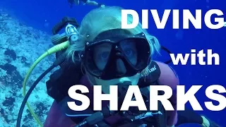 In SEARCH for the BEST DIVING in the SOUTH PACIFIC – Adventure 23 (Sailing Around the World)