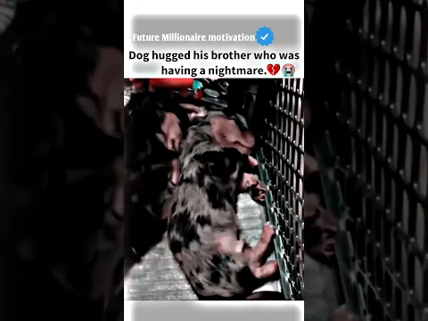 Dog hugged his...😭💔 motivational status #motivation #whatsappstatus #youtube #attitude