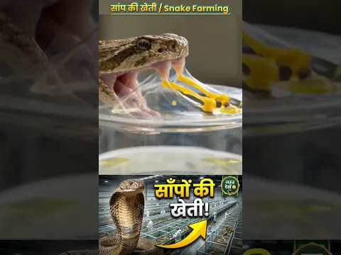 #snake
