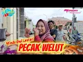 Download Lagu PECAK WELUT || WINDA DWI LESTARI || ANDI PUTRA ONE || KALIWLINGI WANASARI BREBES